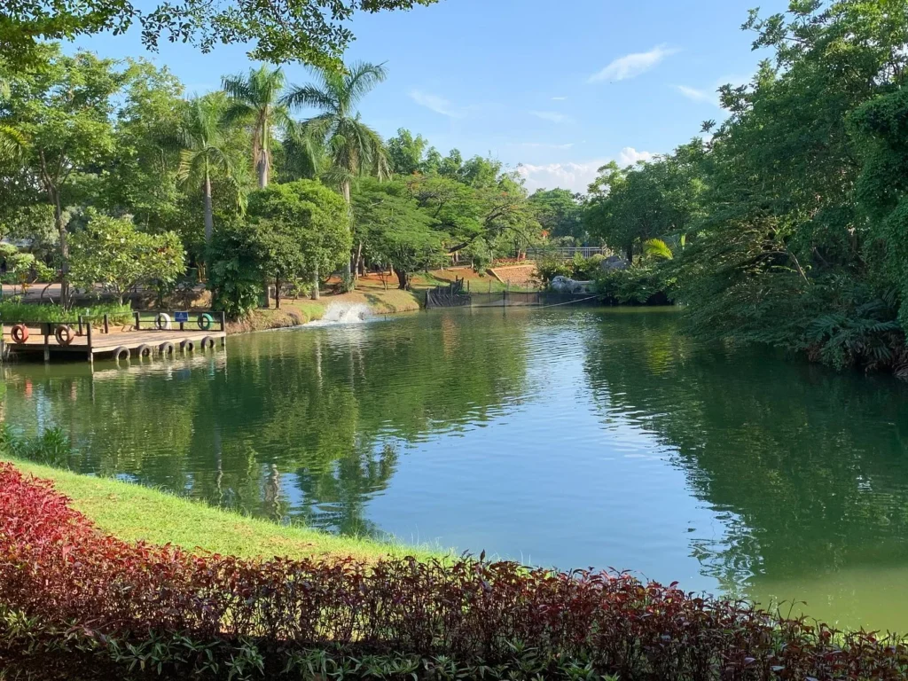Pemandangan alam Ancol Ecopark, lokasi outbound dan team building Jakarta