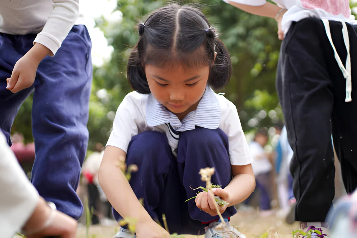 Anak-anak sedang melakukan kegiatan outbound di alam terbuka dengan penuh semangat dan kerjasama tim Komunitas hijau bersama-sama menanam pohon dan membersihkan lingkungan sebagai bentuk kepedulian terhadap alam